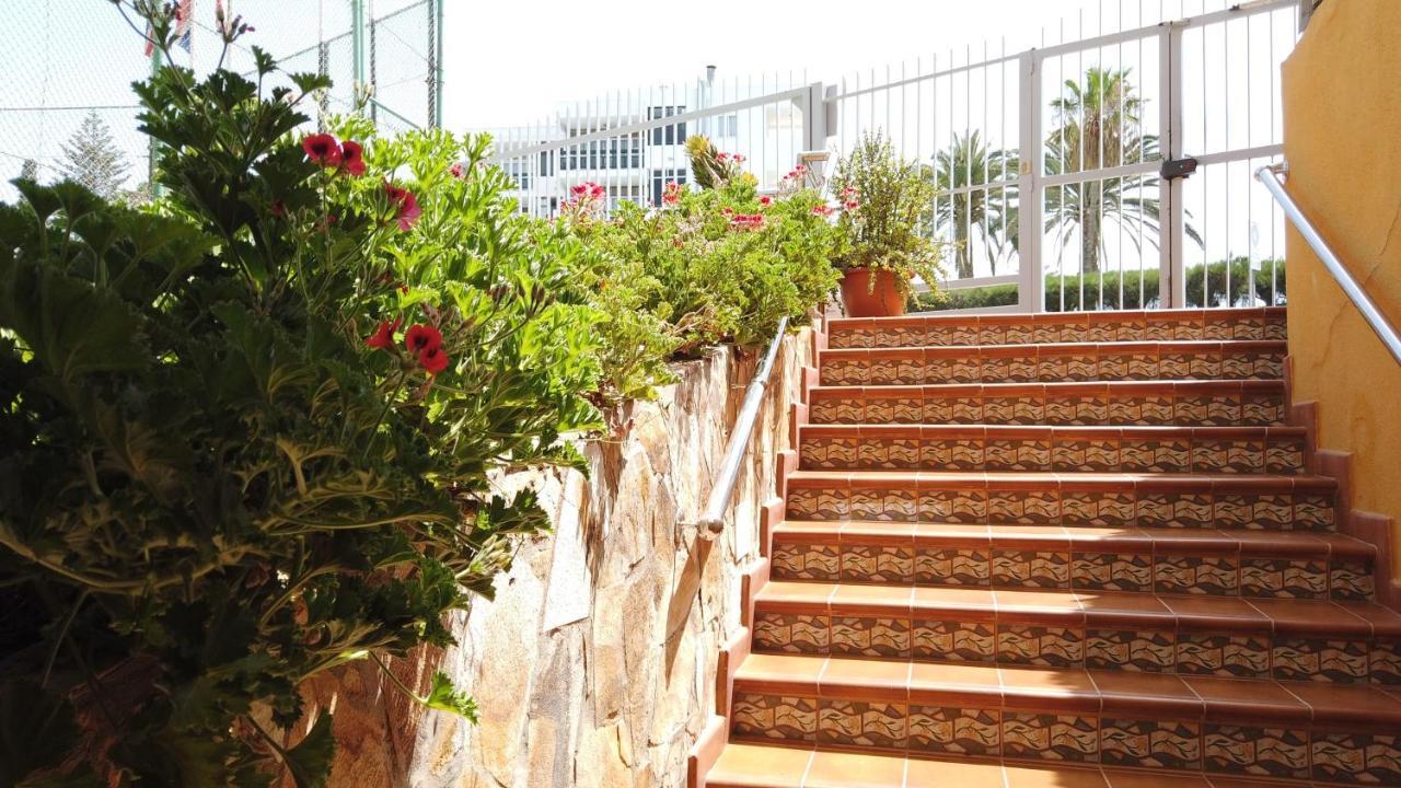 Apartamentos Montemar ปลายา เดล อิงเกลส ภายนอก รูปภาพ